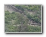 laguna-beach-landslide-032 - Click to enlarge
