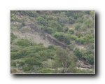 laguna-beach-landslide-034 - Click to enlarge